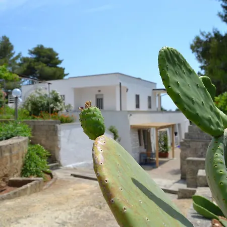 Lu Ientu By Interhome Torre Vado