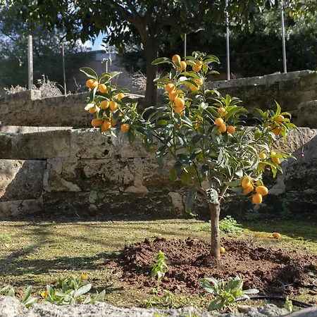 Lu Ientu By Interhome Torre Vado